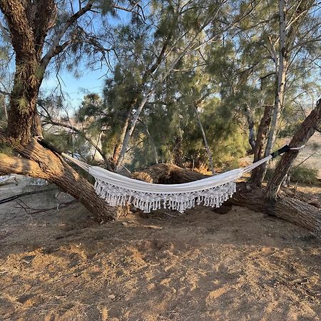 Casa Agave: Comfy Joshua Tree Cottage With Free Breakfast Bar Eksteriør bilde
