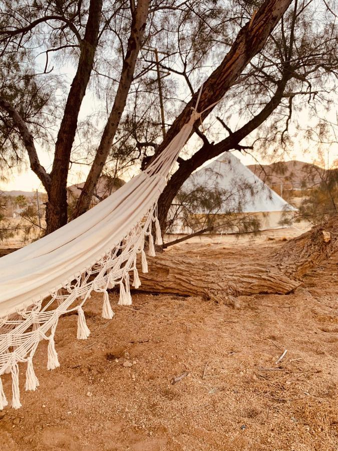 Casa Agave: Comfy Joshua Tree Cottage With Free Breakfast Bar Eksteriør bilde