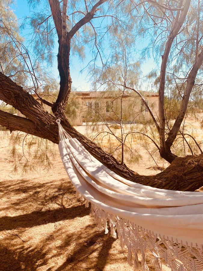 Casa Agave: Comfy Joshua Tree Cottage With Free Breakfast Bar Eksteriør bilde