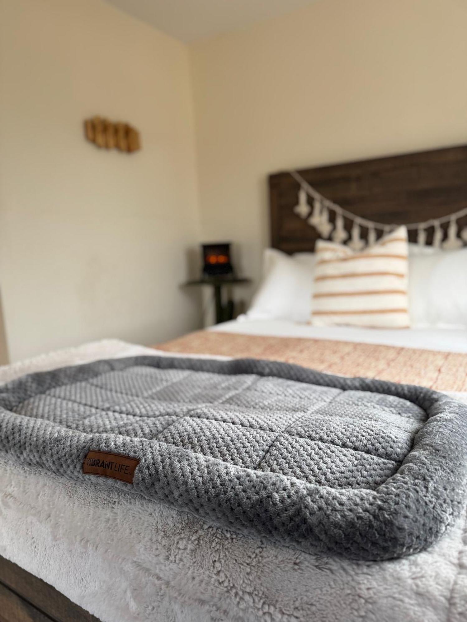 Casa Agave: Comfy Joshua Tree Cottage With Free Breakfast Bar Eksteriør bilde