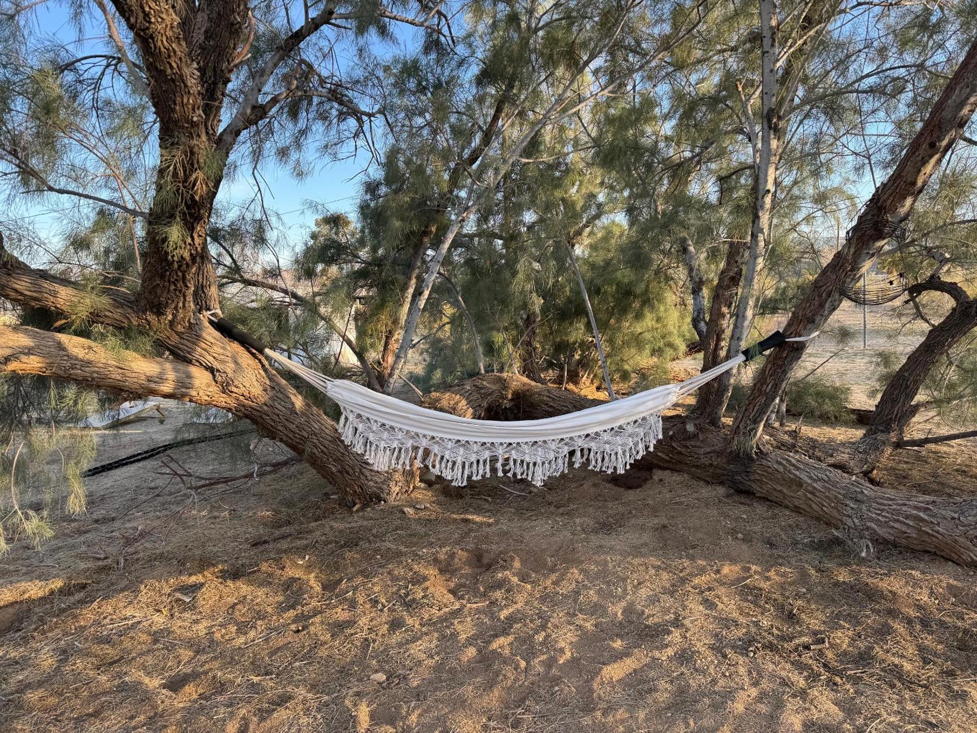 Casa Agave: Comfy Joshua Tree Cottage With Free Breakfast Bar Eksteriør bilde